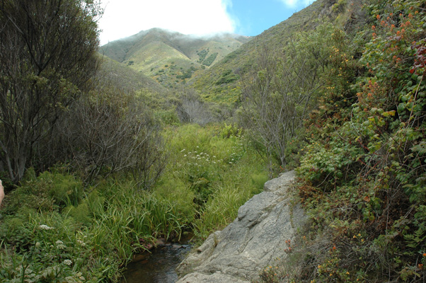 Soberanes Canyon 011.jpg